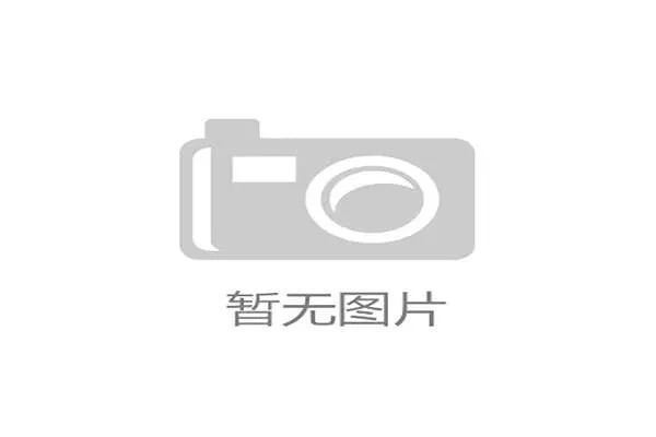 主裁判职责全解析：比赛中权力与责任如何界定？